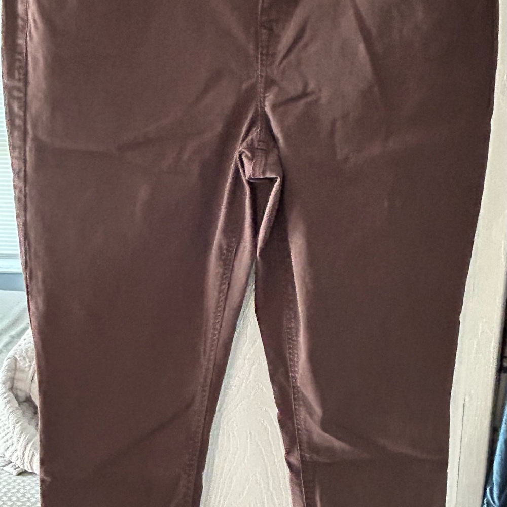 Maurices Dark Brown Jeans